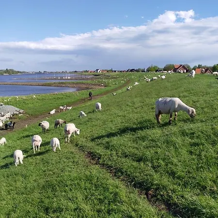 Elbe Diek 公寓 Stelle