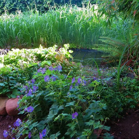 公寓 Elbe Diek Stelle