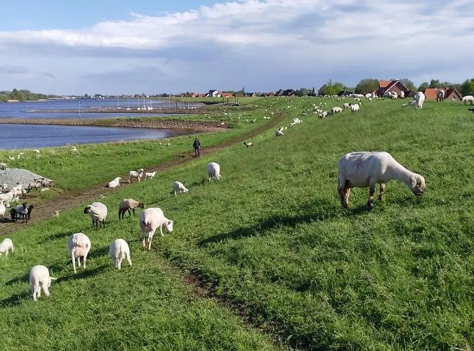 Elbe Diek Apartment Stelle